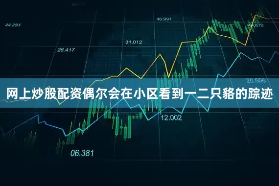 网上炒股配资偶尔会在小区看到一二只貉的踪迹
