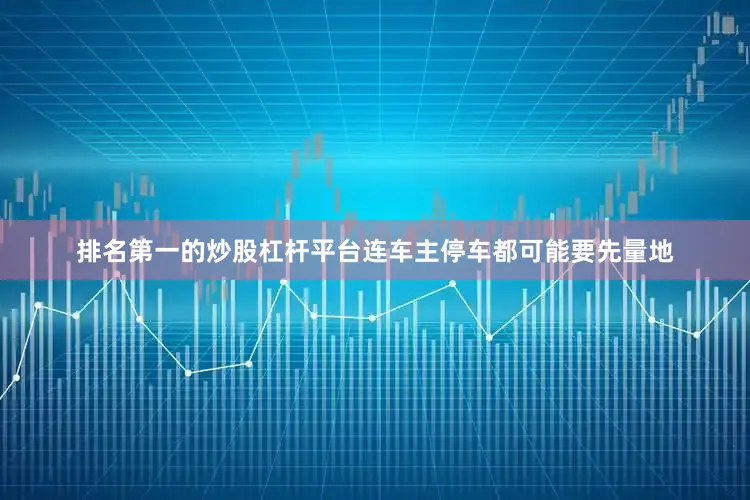 排名第一的炒股杠杆平台连车主停车都可能要先量地