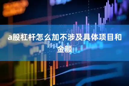 a股杠杆怎么加不涉及具体项目和金额