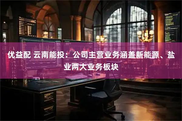 优益配 云南能投：公司主营业务涵盖新能源、盐业两大业务板块