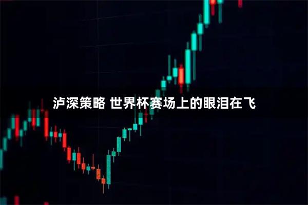 泸深策略 世界杯赛场上的眼泪在飞